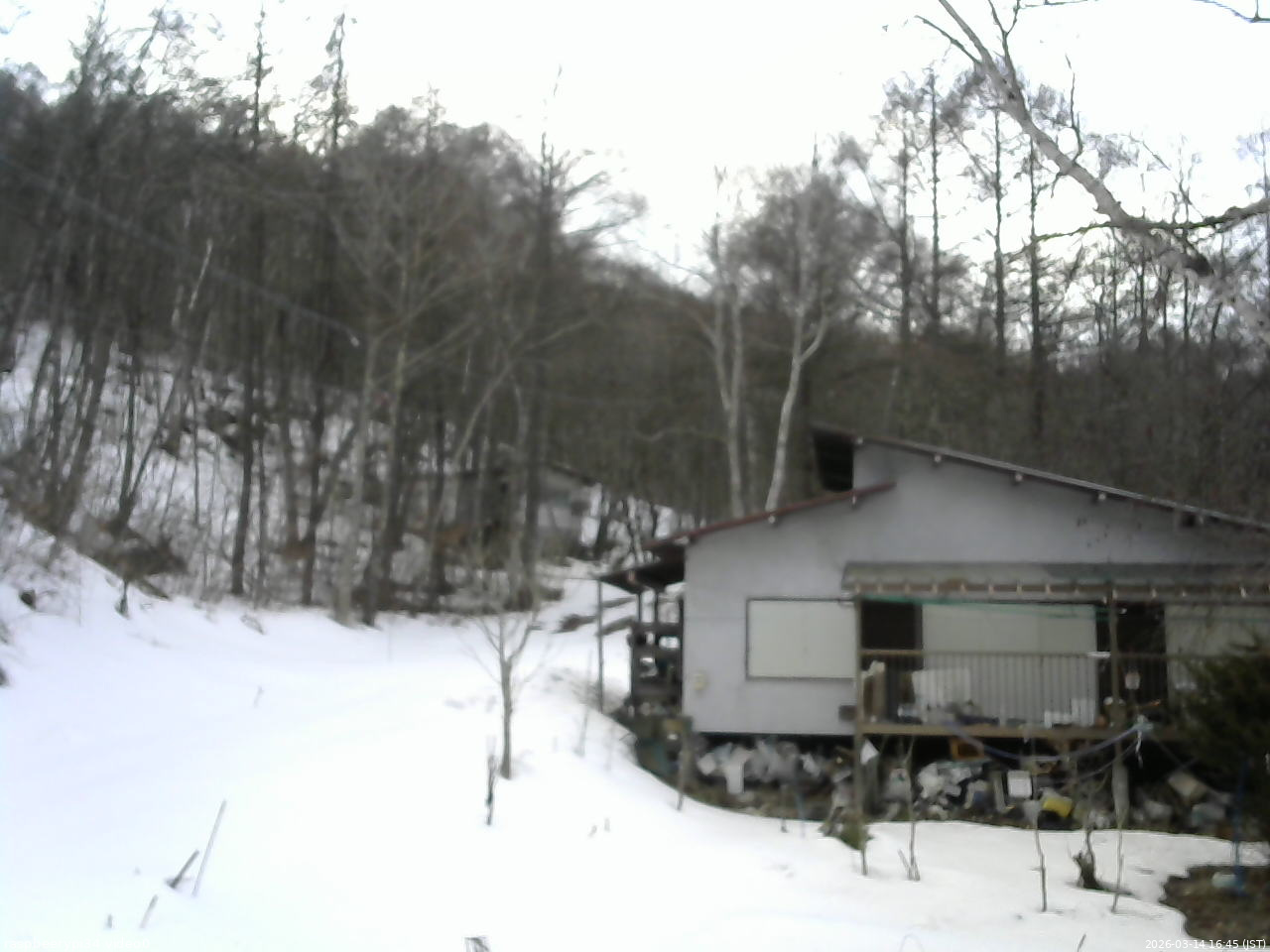 長野県菅平高原 ゆたか山荘 西側(坂上) 2026/03/14 16:45
