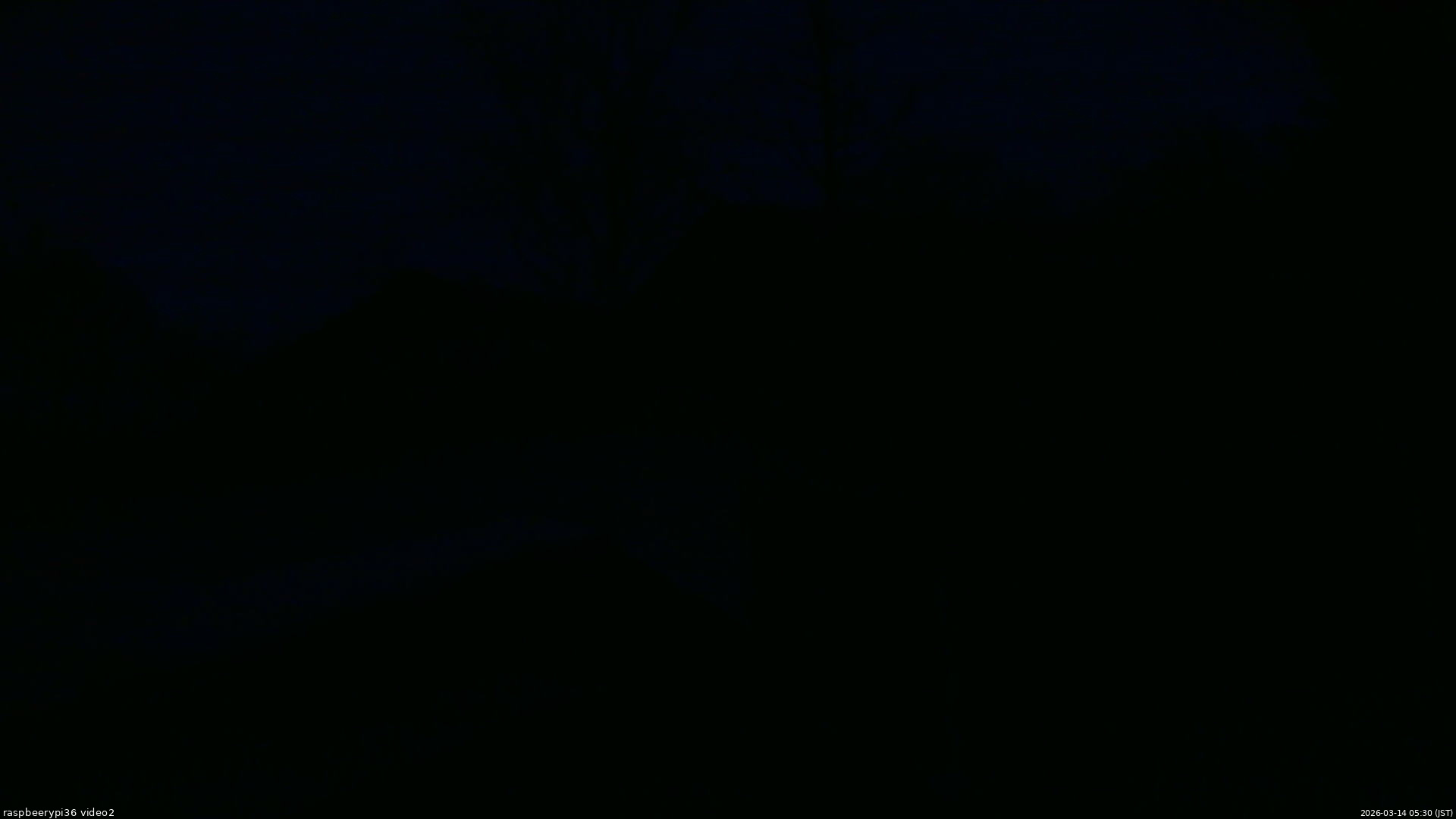 長野県菅平高原 ゆたか山荘 駐車場奥 2026/03/14 05:30