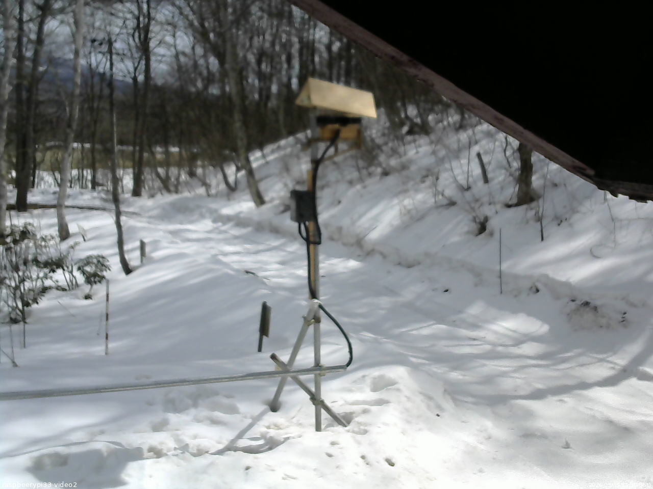 長野県菅平高原 ゆたか山荘 南側 2026/03/15 11:30