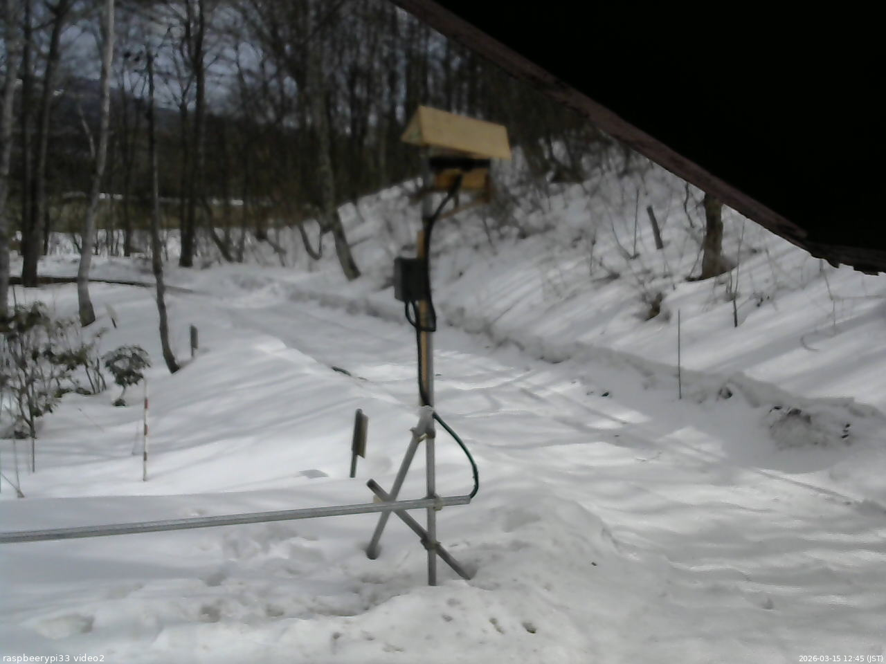 長野県菅平高原 ゆたか山荘 南側 2026/03/15 12:45