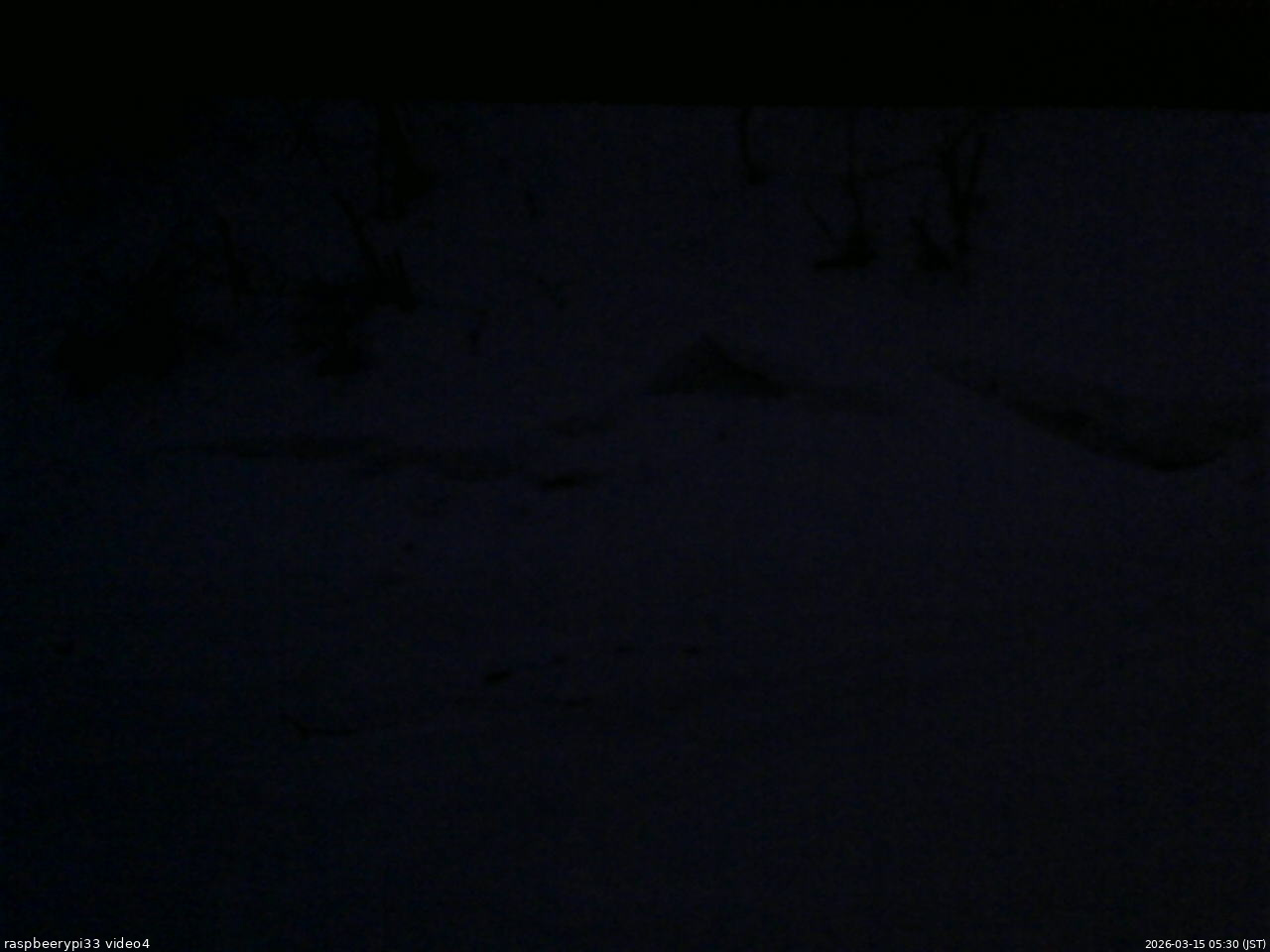 長野県菅平高原 ゆたか山荘 東側(坂下) 2026/03/15 05:30
