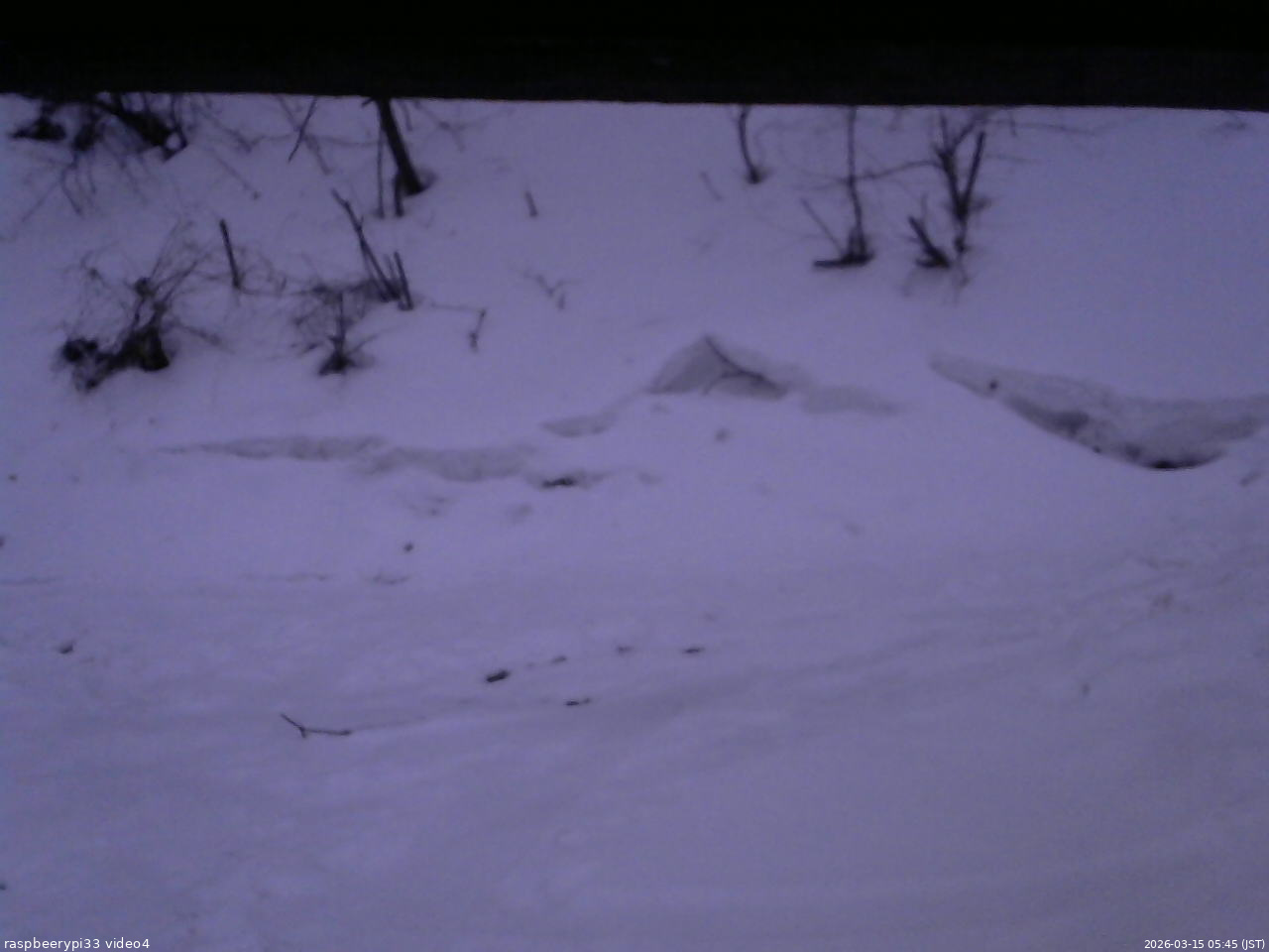 長野県菅平高原 ゆたか山荘 東側(坂下) 2026/03/15 05:45