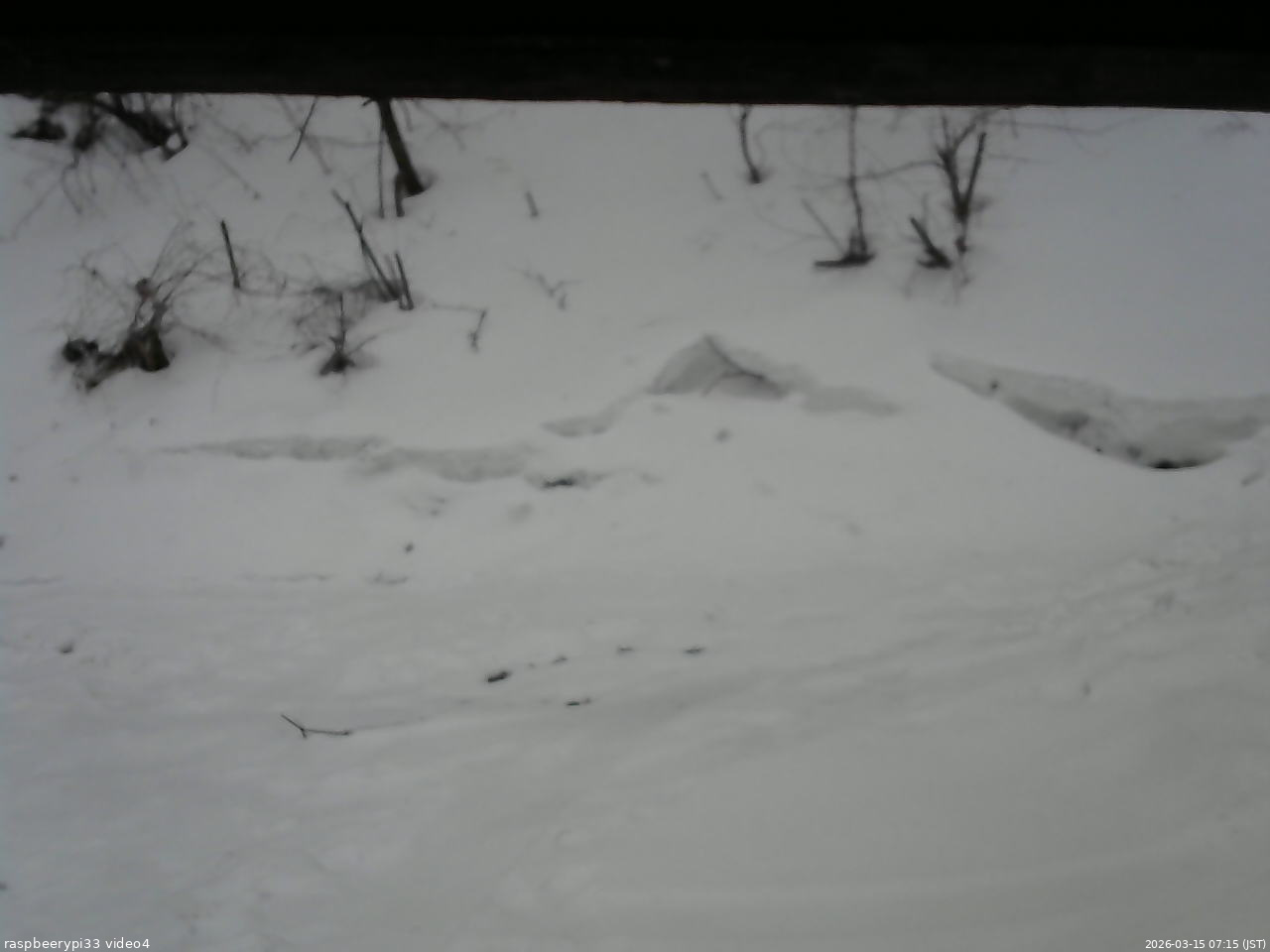 長野県菅平高原 ゆたか山荘 東側(坂下) 2026/03/15 07:15