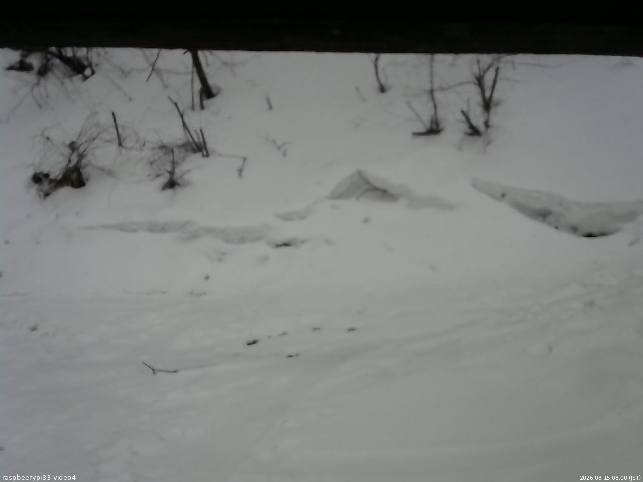 長野県菅平高原 ゆたか山荘 東側(坂下) 2026/03/15 08:00