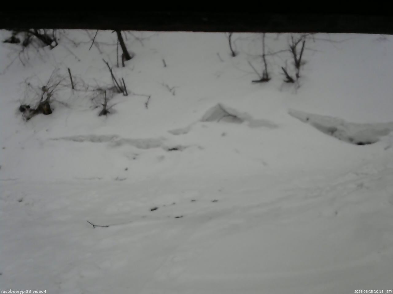 長野県菅平高原 ゆたか山荘 東側(坂下) 2026/03/15 10:15