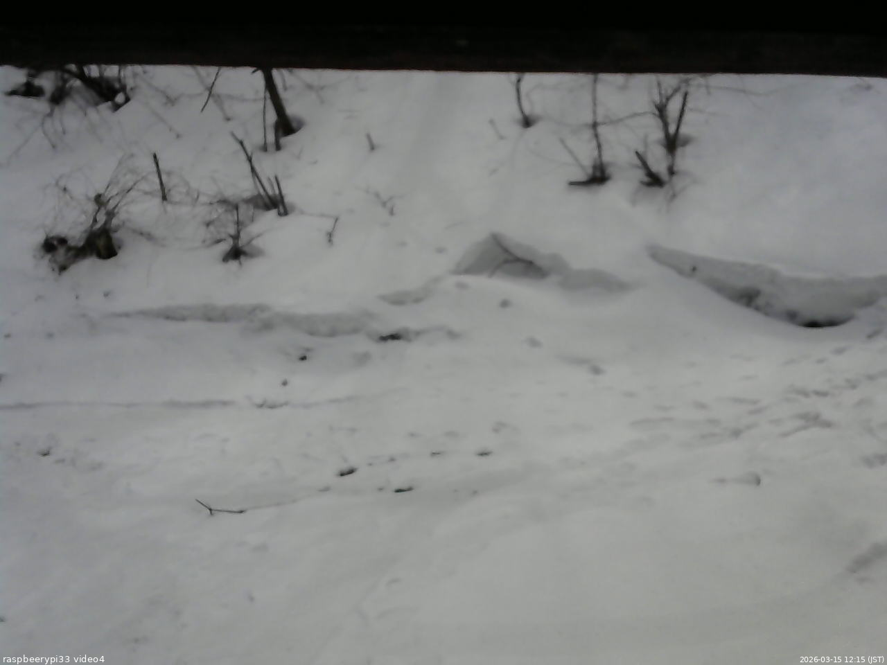 長野県菅平高原 ゆたか山荘 東側(坂下) 2026/03/15 12:15