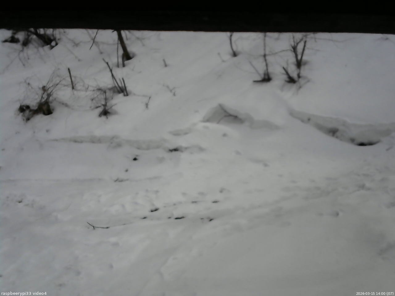 長野県菅平高原 ゆたか山荘 東側(坂下) 2026/03/15 14:00