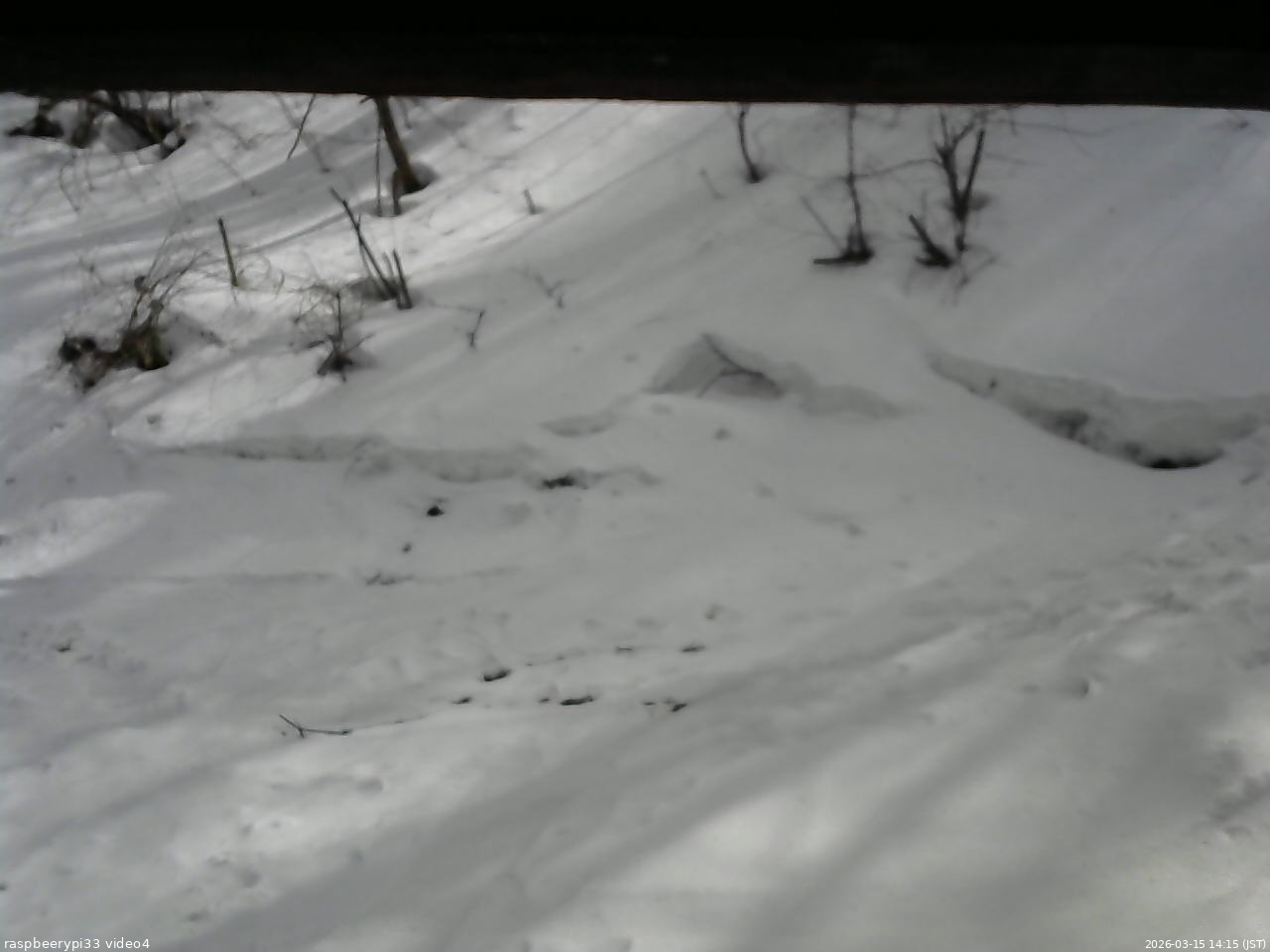 長野県菅平高原 ゆたか山荘 東側(坂下) 2026/03/15 14:15