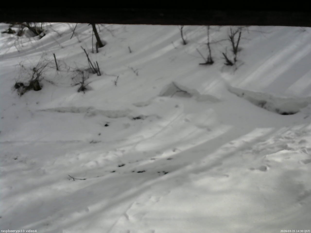 長野県菅平高原 ゆたか山荘 東側(坂下) 2026/03/15 14:30