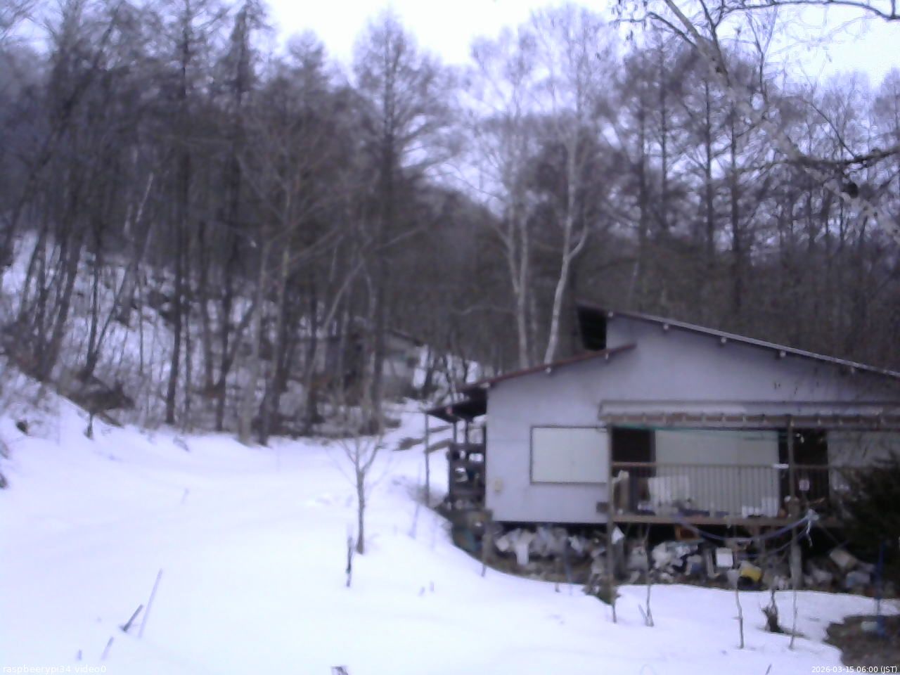 長野県菅平高原 ゆたか山荘 西側(坂上) 2026/03/15 06:00