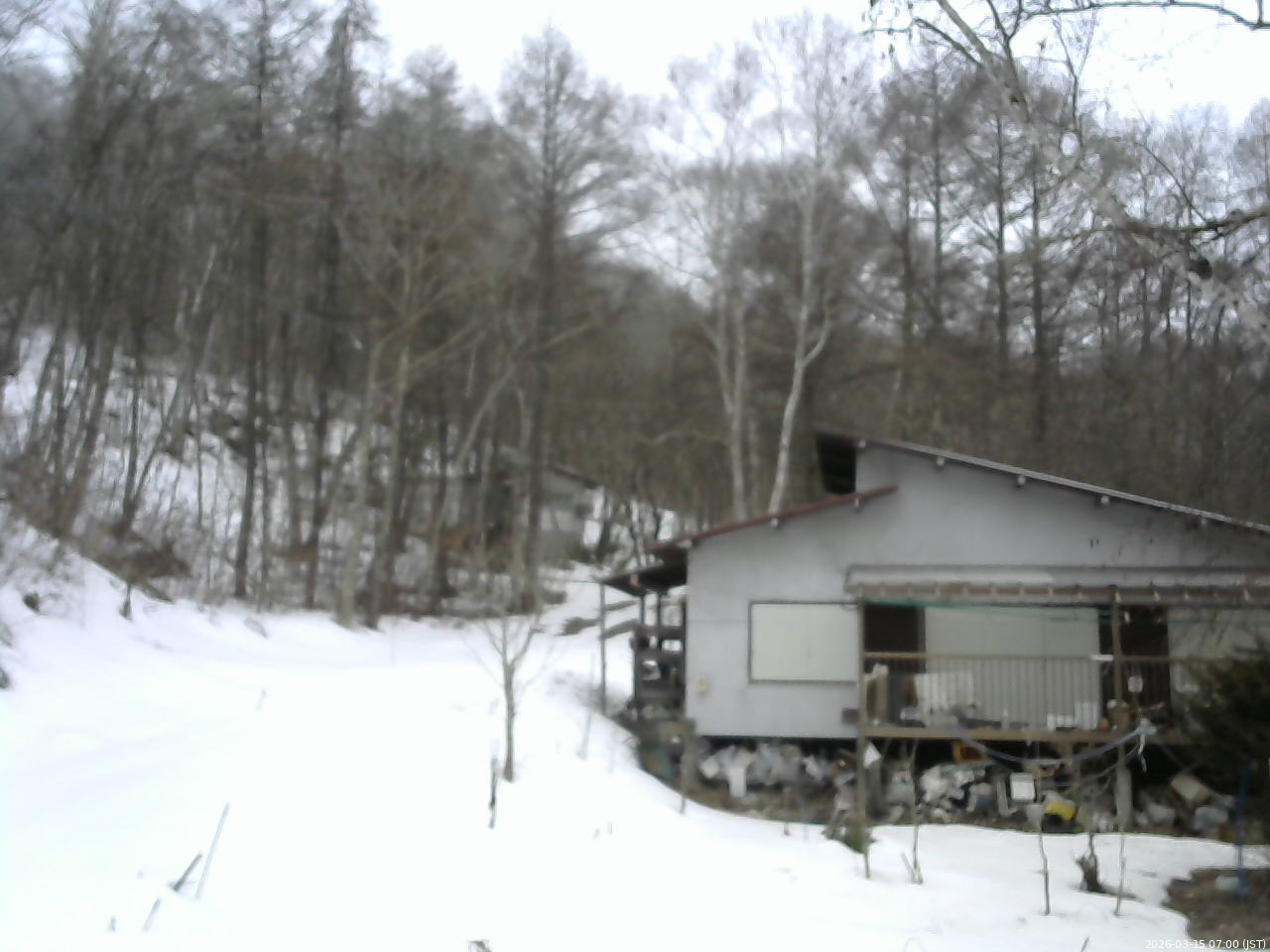 長野県菅平高原 ゆたか山荘 西側(坂上) 2026/03/15 07:00