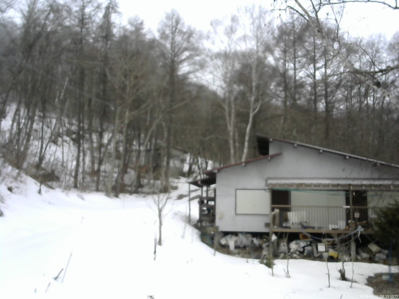 長野県菅平高原 ゆたか山荘 西側(坂上) 2026/03/15 08:15