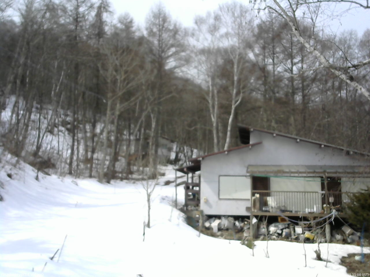長野県菅平高原 ゆたか山荘 西側(坂上) 2026/03/15 11:00