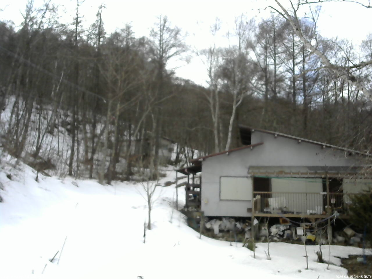 長野県菅平高原 ゆたか山荘 西側(坂上) 2026/03/15 14:45