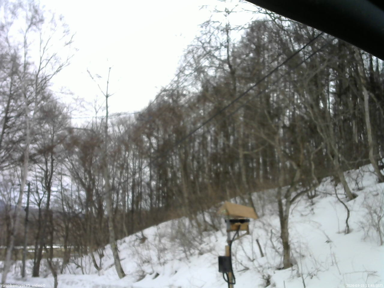 長野県菅平高原 ゆたか山荘 温度計 2026/03/15 11:45