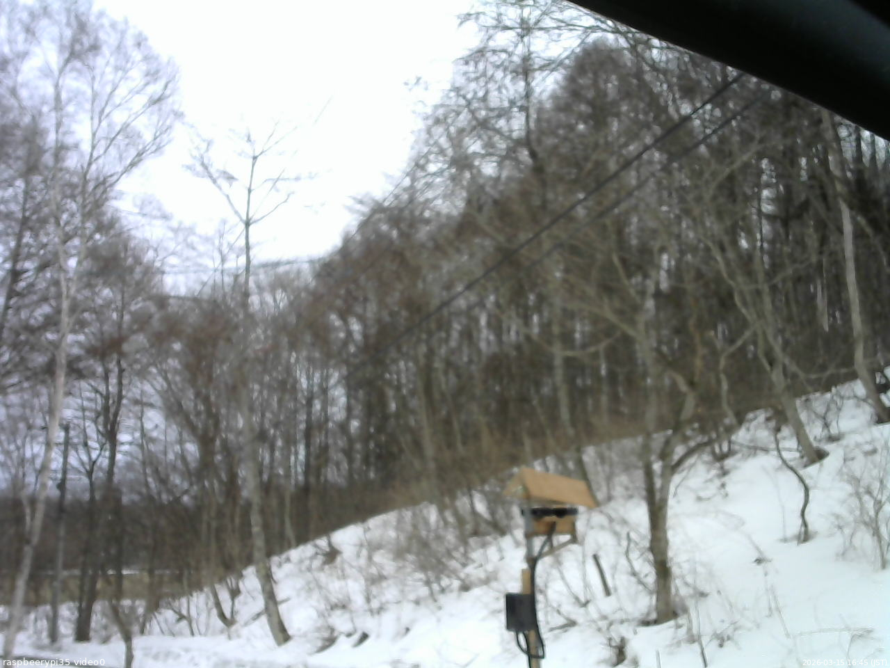長野県菅平高原 ゆたか山荘 温度計 2026/03/15 16:45