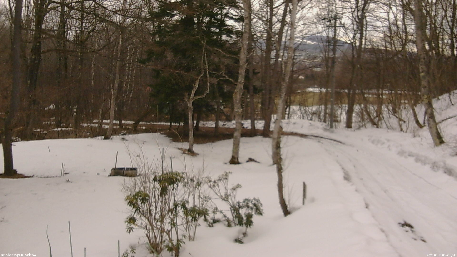 長野県菅平高原 ゆたか山荘 坂上 2026/03/15 08:45