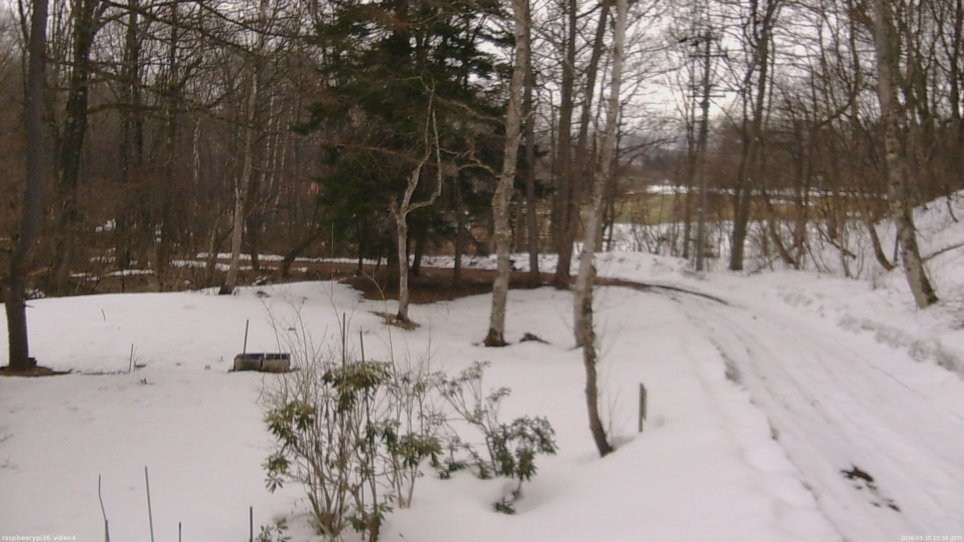長野県菅平高原 ゆたか山荘 坂上 2026/03/15 10:30
