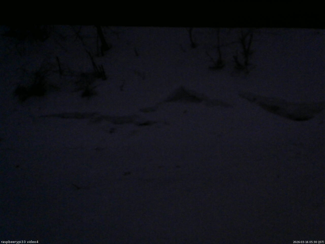 長野県菅平高原 ゆたか山荘 東側(坂下) 2026/03/16 05:30
