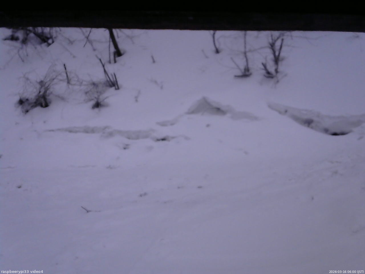 長野県菅平高原 ゆたか山荘 東側(坂下) 2026/03/16 06:00