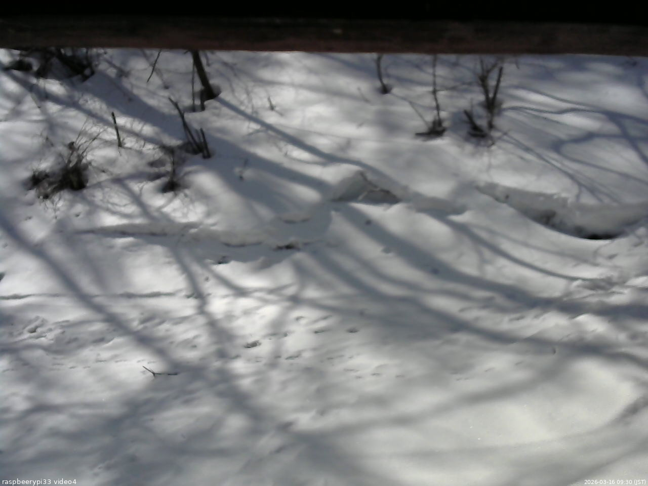 長野県菅平高原 ゆたか山荘 東側(坂下) 2026/03/16 09:30