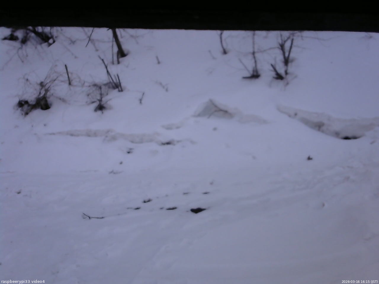長野県菅平高原 ゆたか山荘 東側(坂下) 2026/03/16 16:15