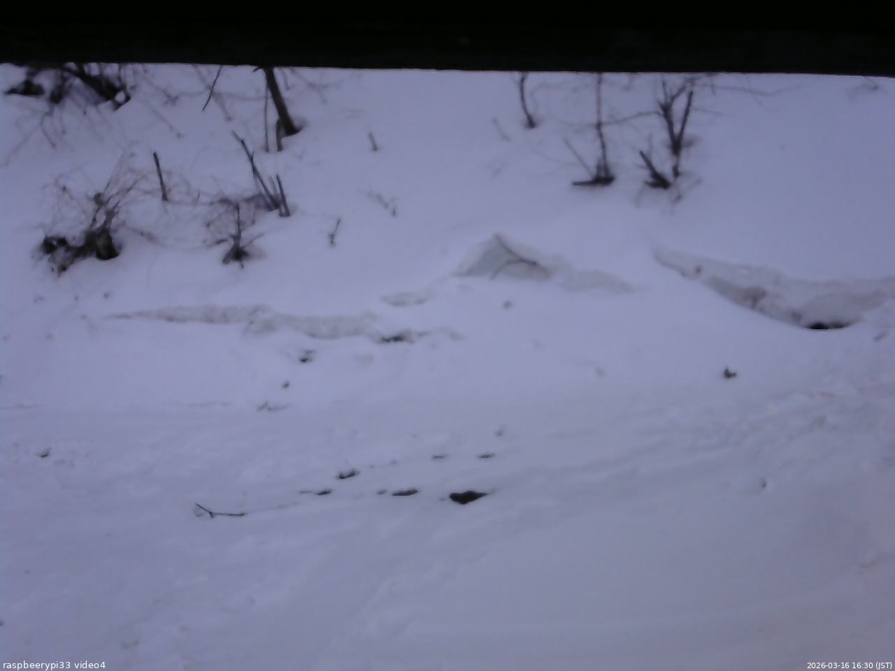長野県菅平高原 ゆたか山荘 東側(坂下) 2026/03/16 16:30