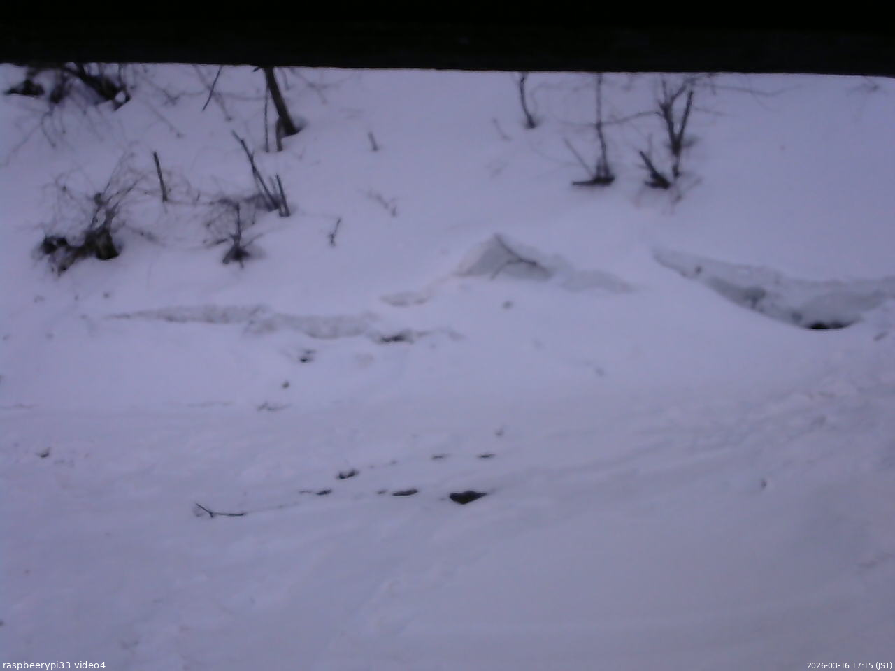 長野県菅平高原 ゆたか山荘 東側(坂下) 2026/03/16 17:15