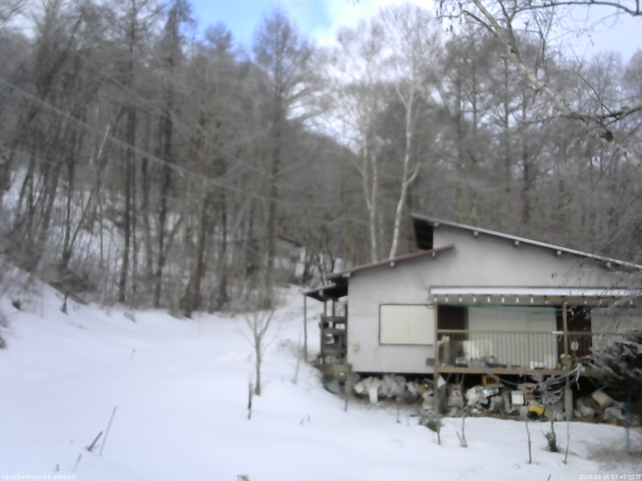 長野県菅平高原 ゆたか山荘 西側(坂上) 2026/03/16 07:45