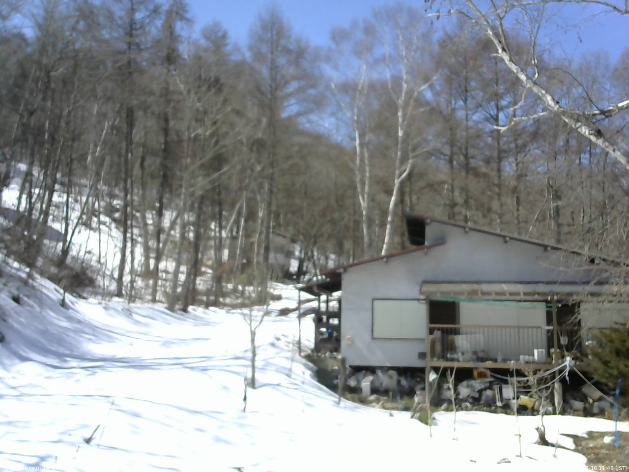 長野県菅平高原 ゆたか山荘 西側(坂上) 2026/03/16 11:45