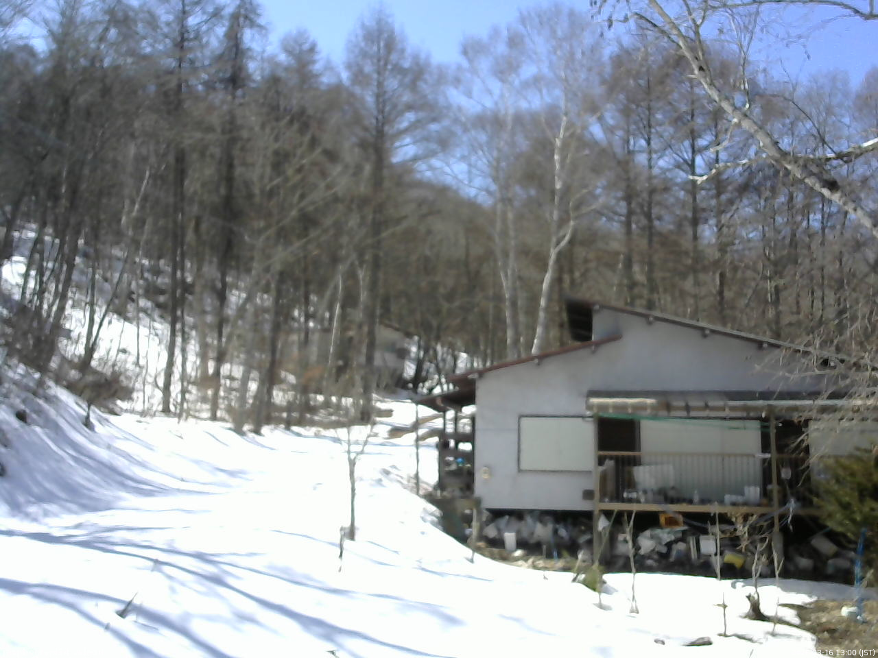 長野県菅平高原 ゆたか山荘 西側(坂上) 2026/03/16 13:00