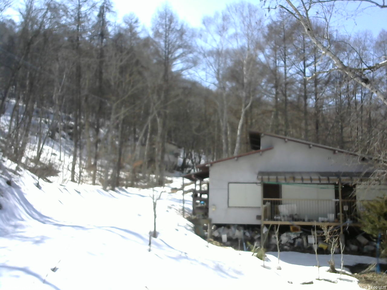 長野県菅平高原 ゆたか山荘 西側(坂上) 2026/03/16 14:00