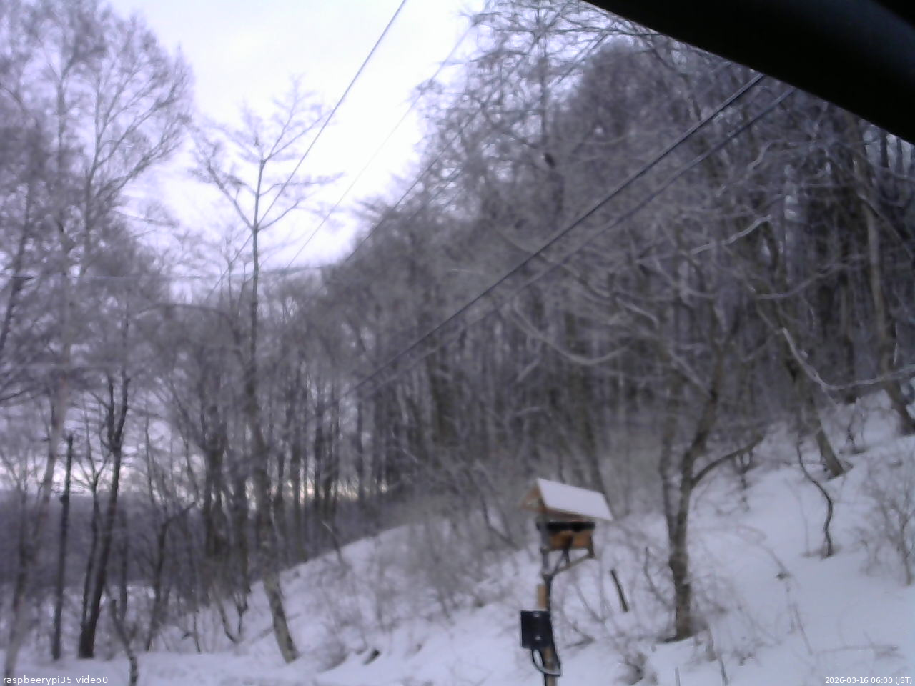 長野県菅平高原 ゆたか山荘 温度計 2026/03/16 06:00