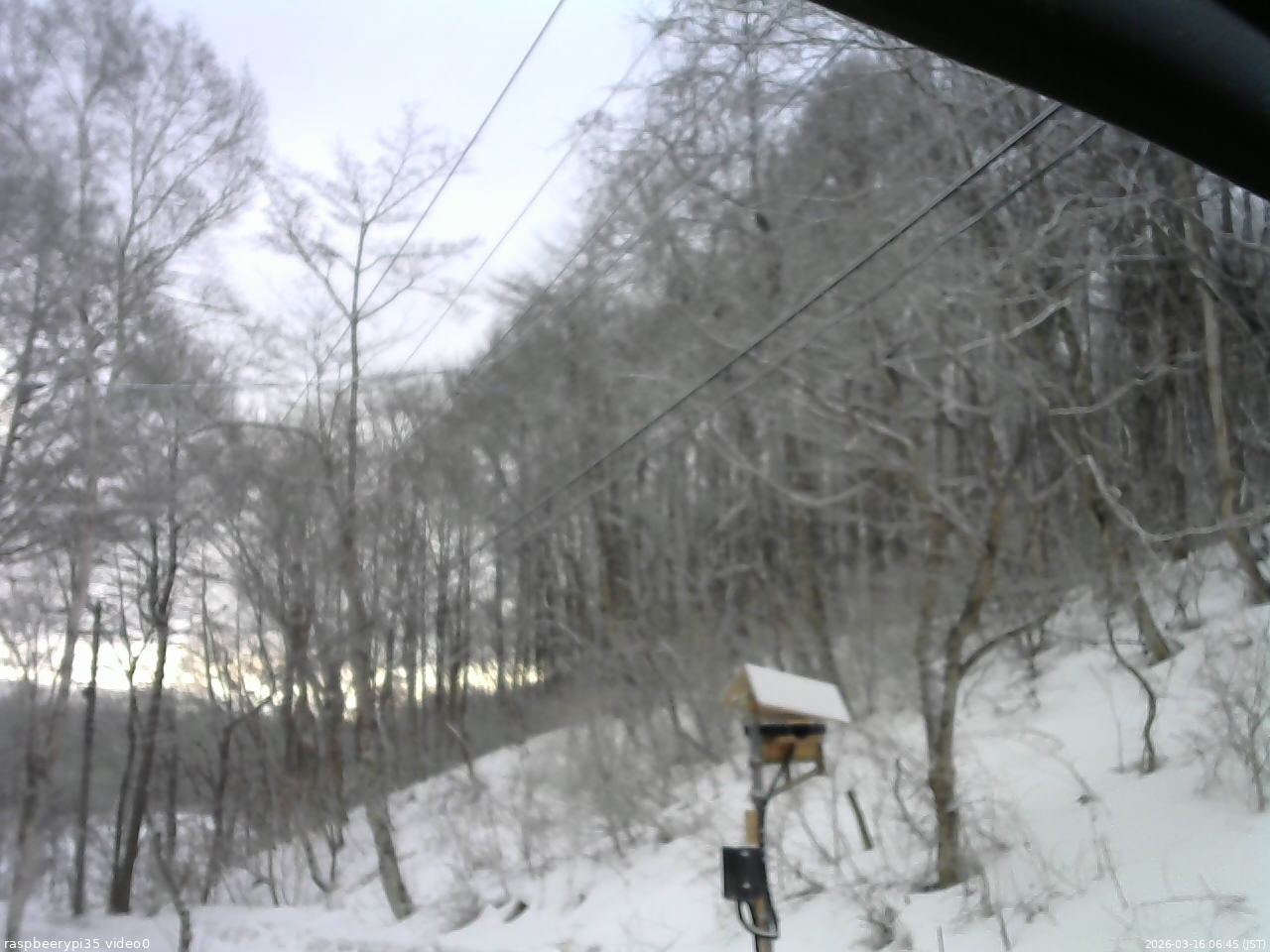 長野県菅平高原 ゆたか山荘 温度計 2026/03/16 06:45