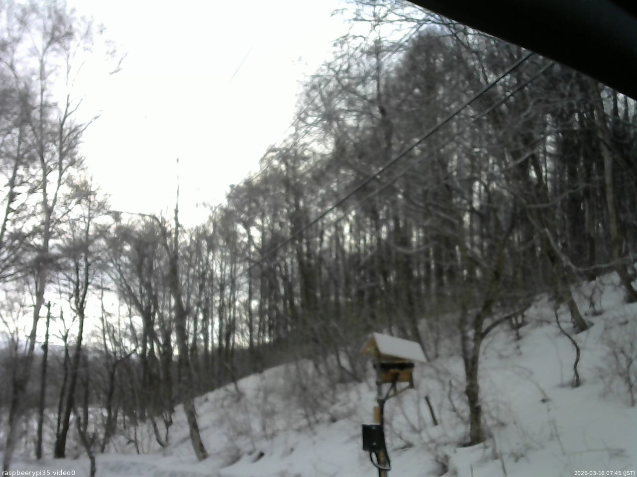 長野県菅平高原 ゆたか山荘 温度計 2026/03/16 07:45