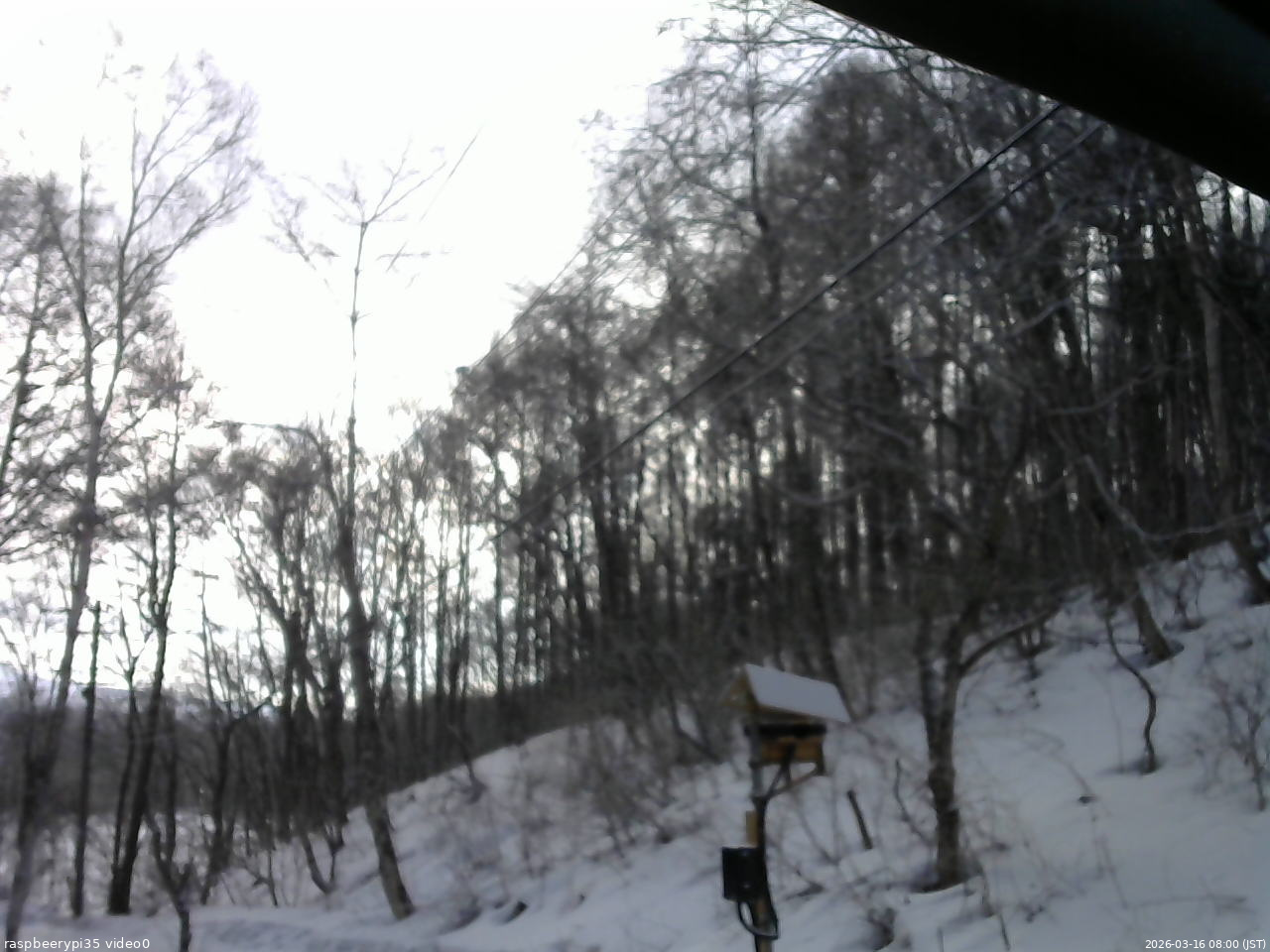 長野県菅平高原 ゆたか山荘 温度計 2026/03/16 08:00