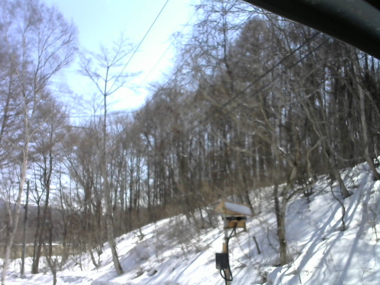 長野県菅平高原 ゆたか山荘 温度計 2026/03/16 10:45
