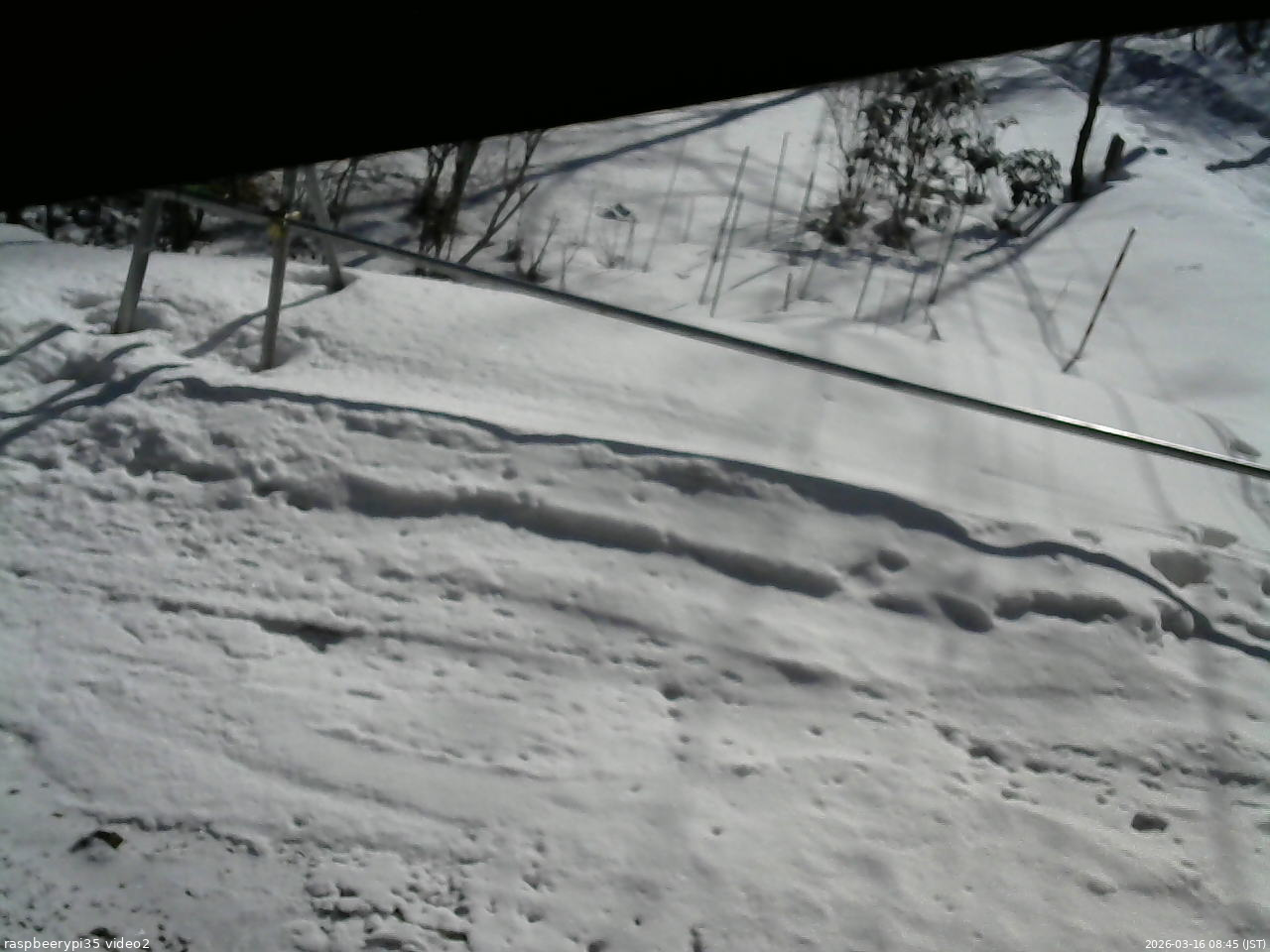 長野県菅平高原 ゆたか山荘 駐車場 2026/03/16 08:45