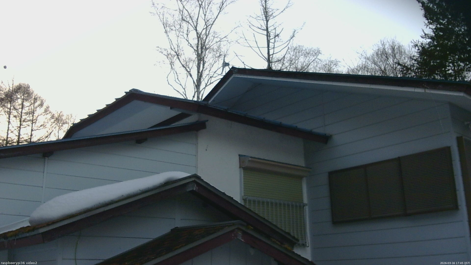 長野県菅平高原 ゆたか山荘 駐車場奥 2026/03/16 17:45