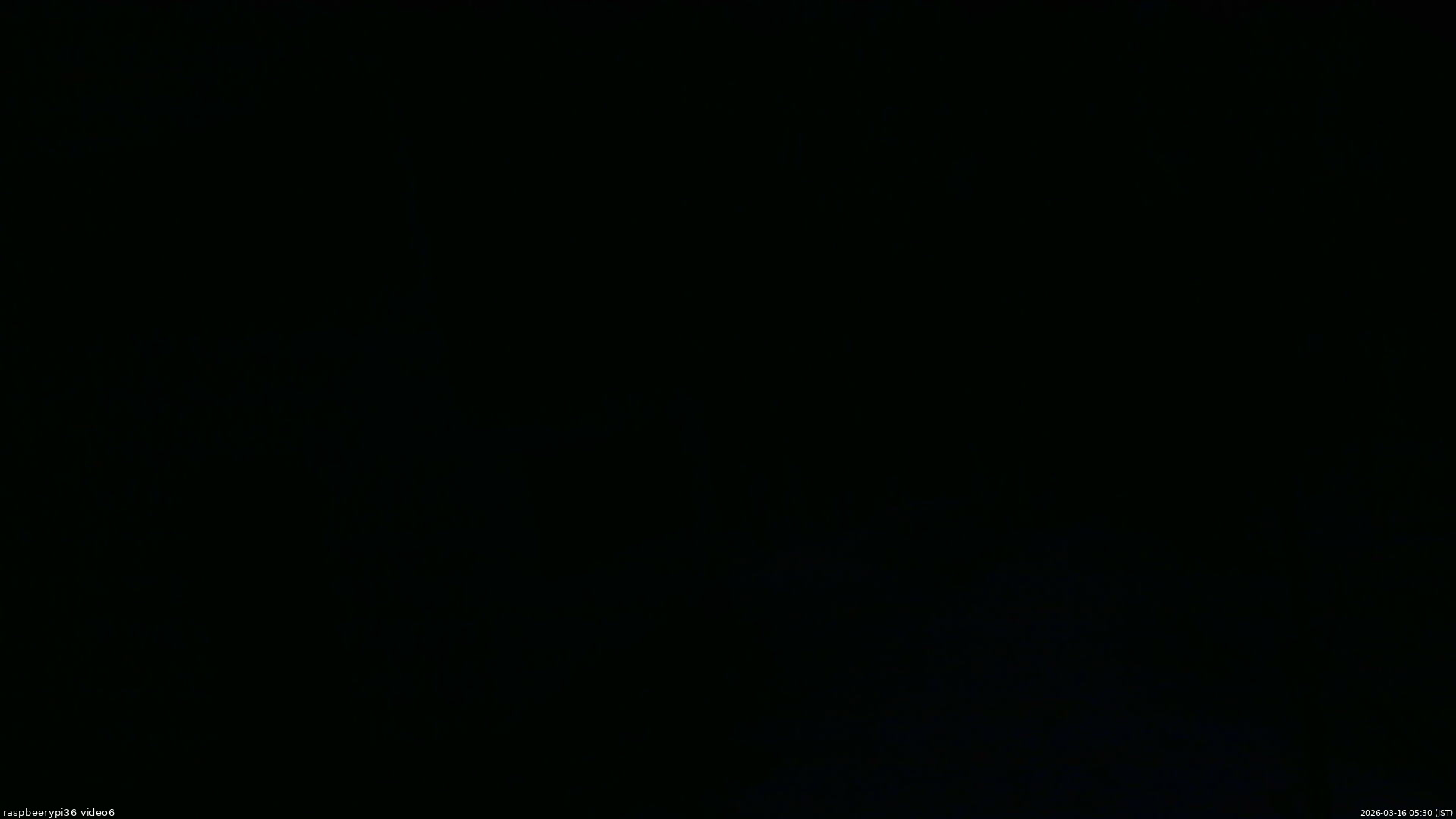 長野県菅平高原 ゆたか山荘 坂下 2026/03/16 05:30