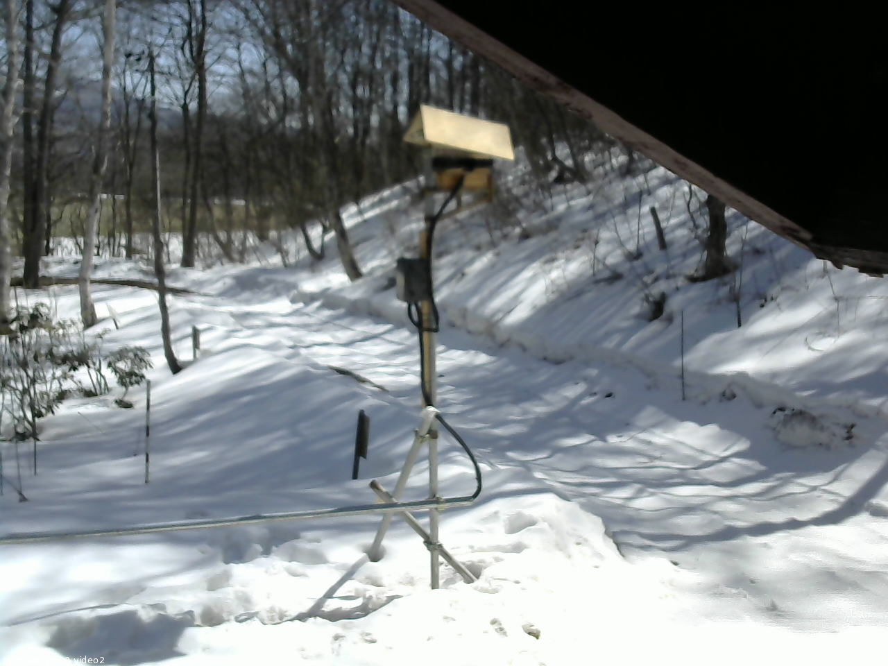 長野県菅平高原 ゆたか山荘 南側 2026/03/17 11:30