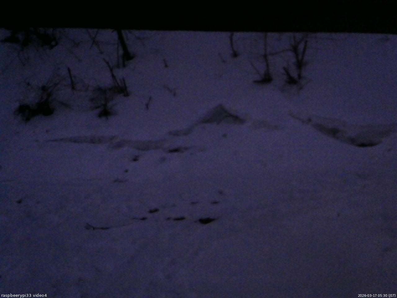 長野県菅平高原 ゆたか山荘 東側(坂下) 2026/03/17 05:30
