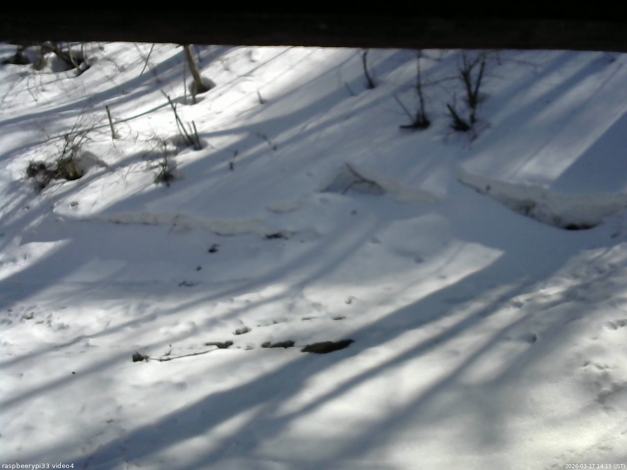 長野県菅平高原 ゆたか山荘 東側(坂下) 2026/03/17 14:15