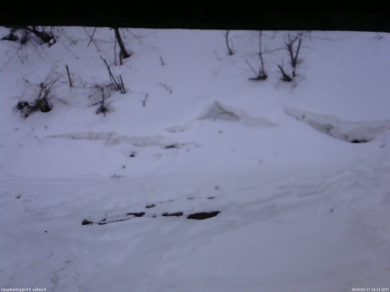 長野県菅平高原 ゆたか山荘 東側(坂下) 2026/03/17 16:15