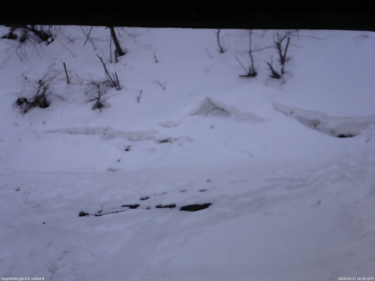 長野県菅平高原 ゆたか山荘 東側(坂下) 2026/03/17 16:30