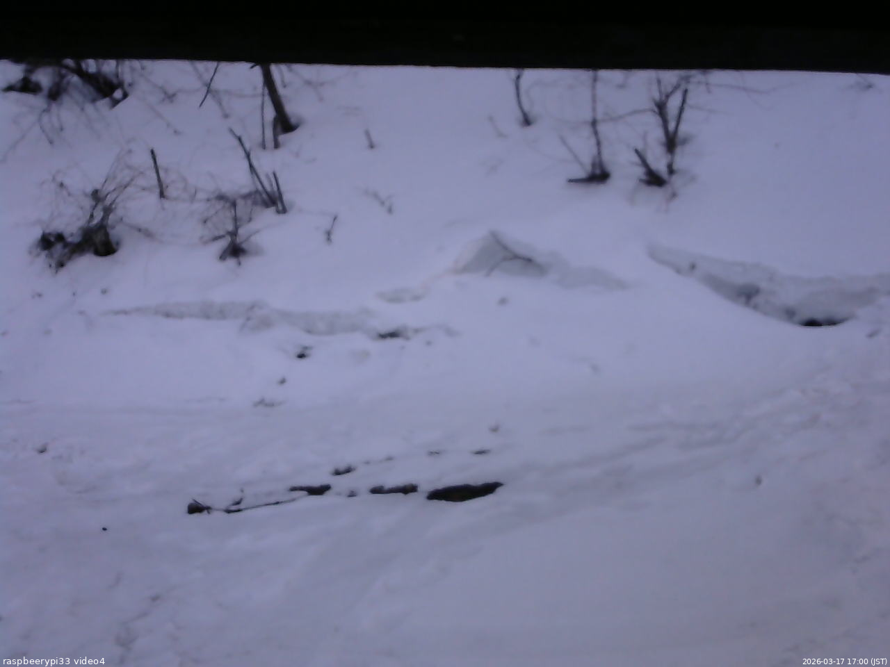 長野県菅平高原 ゆたか山荘 東側(坂下) 2026/03/17 17:00
