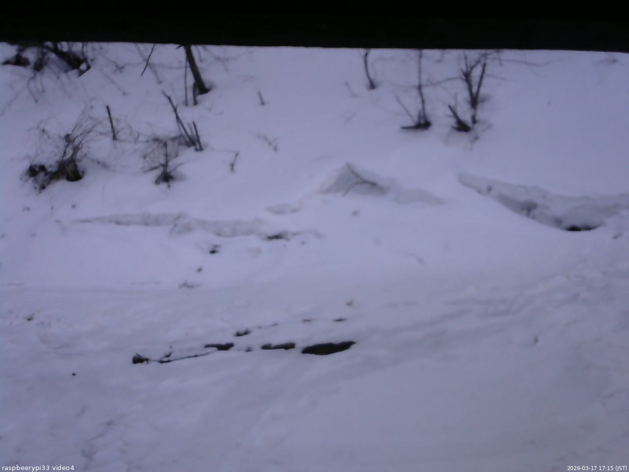 長野県菅平高原 ゆたか山荘 東側(坂下) 2026/03/17 17:15