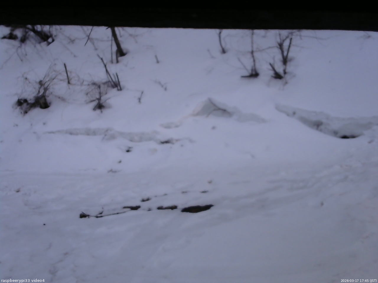 長野県菅平高原 ゆたか山荘 東側(坂下) 2026/03/17 17:45