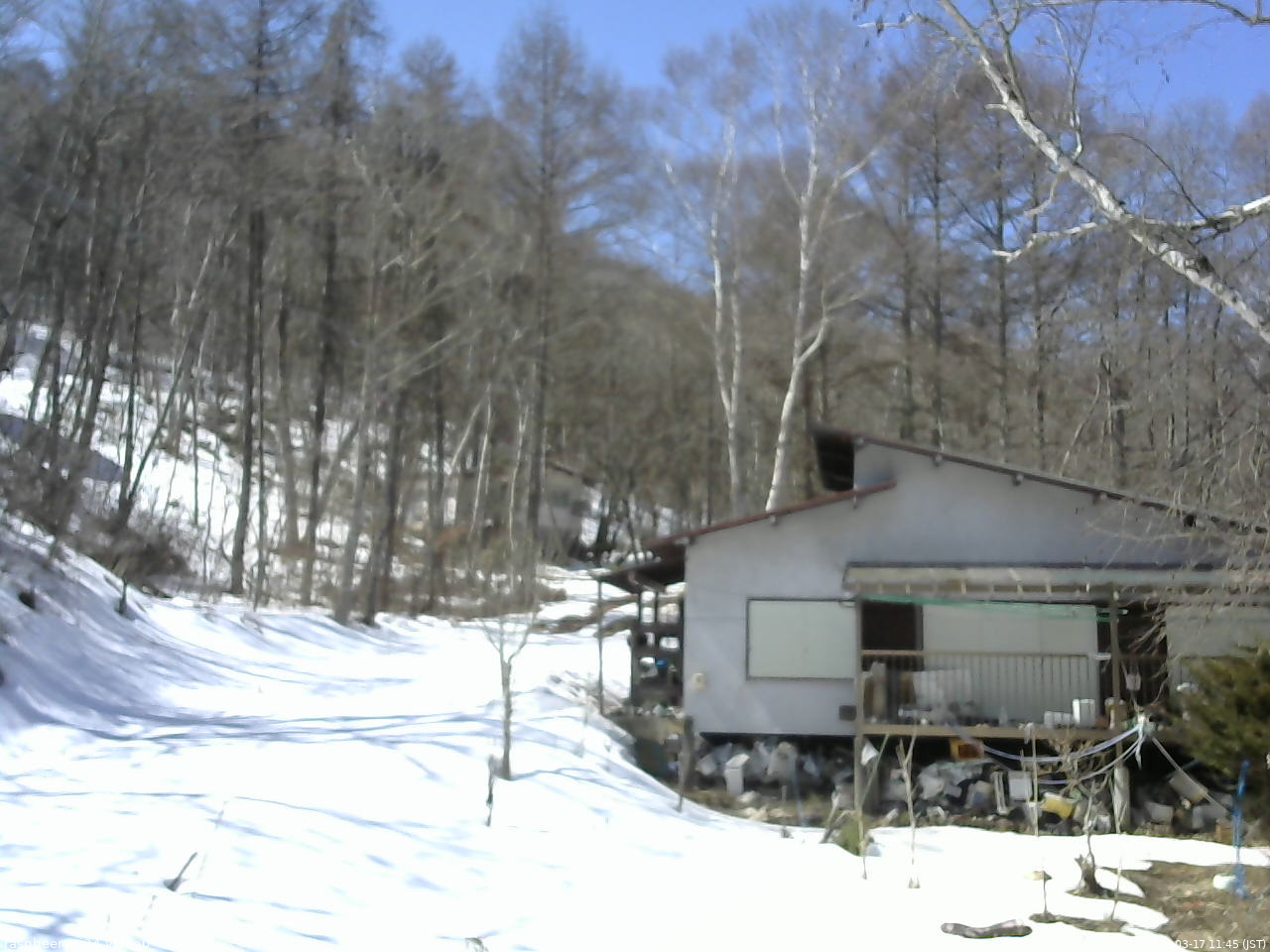 長野県菅平高原 ゆたか山荘 西側(坂上) 2026/03/17 11:45