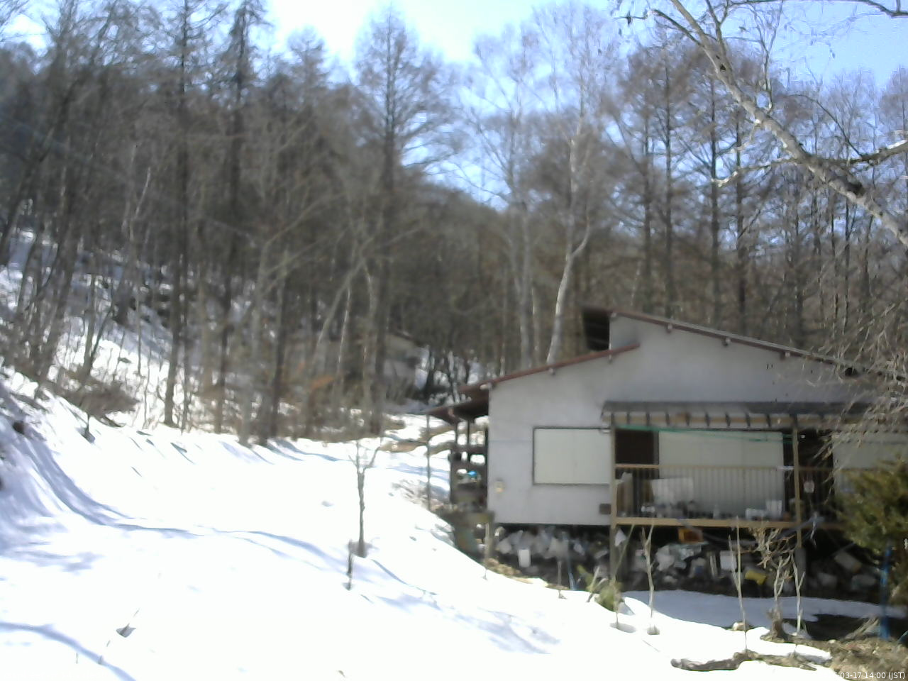 長野県菅平高原 ゆたか山荘 西側(坂上) 2026/03/17 14:00